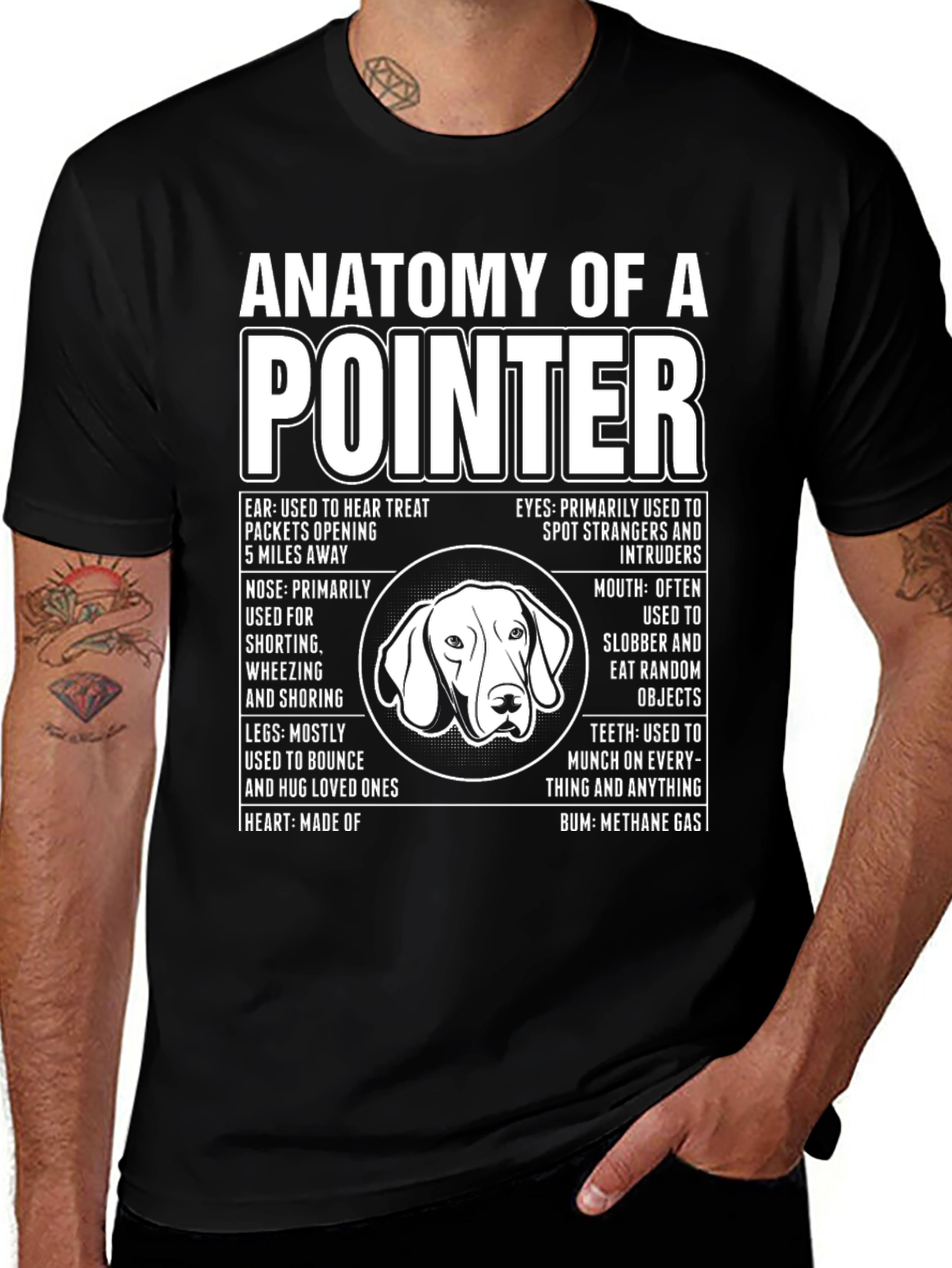 Camiseta Anatomy of a Pointer - Diseño Divertido para Amantes de Perros