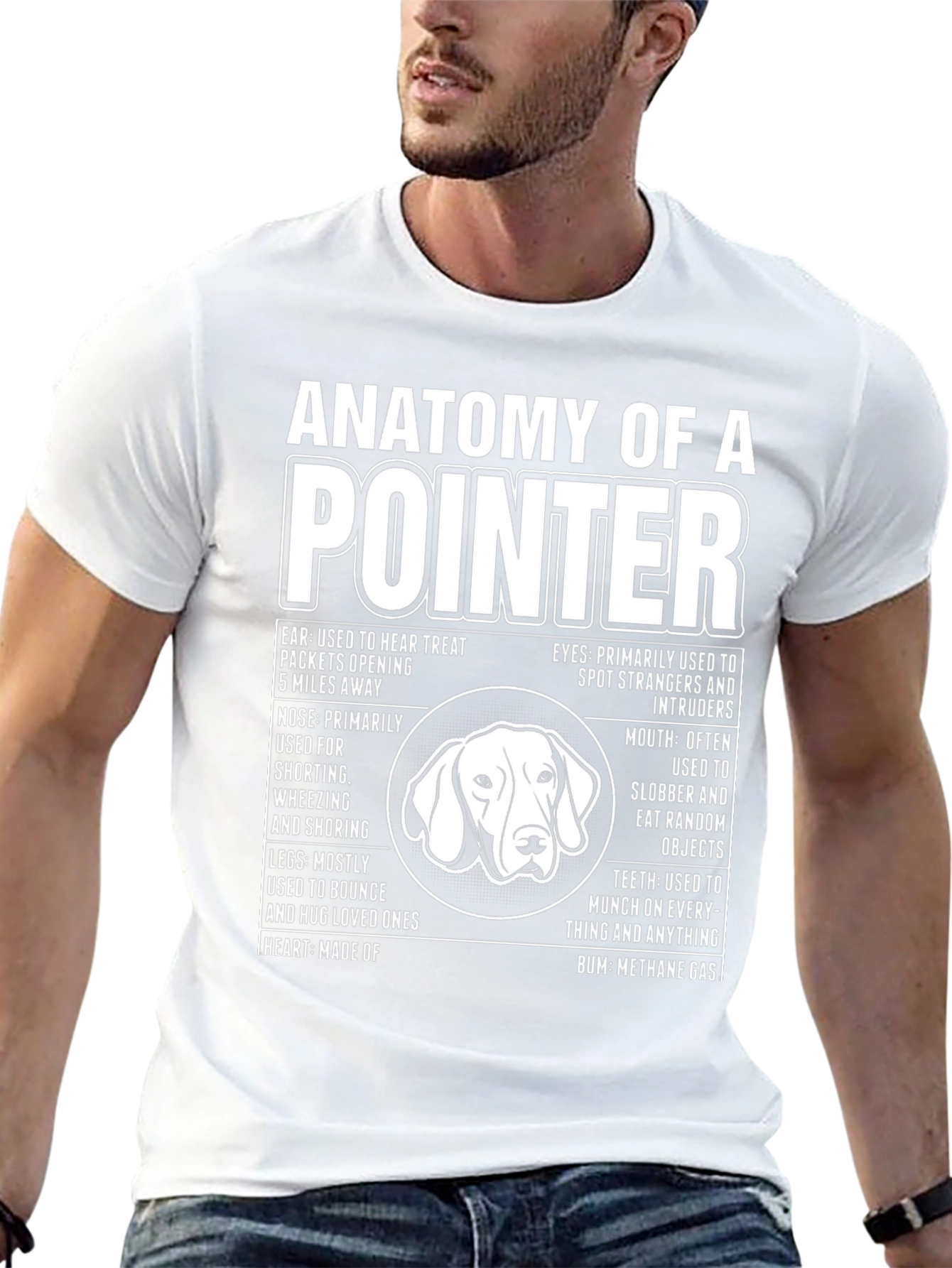 Camiseta Anatomy of a Pointer - Diseño Divertido para Amantes de Perros